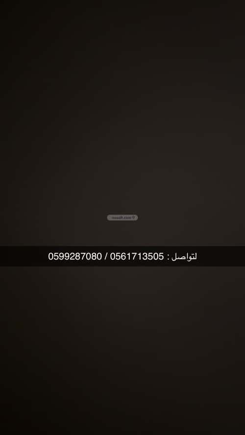 3 bedroom apartment in Al Hamra 1