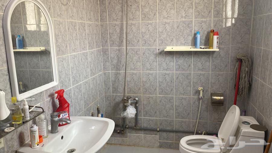 شقة 1 غرف في مدينة العمال 6