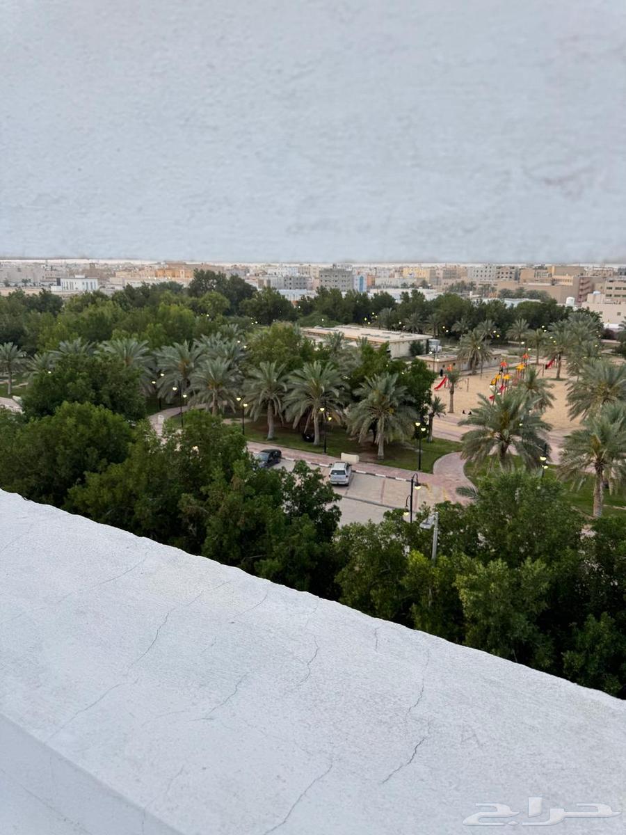 شقة 5 غرف في الحزام الذهبي 8