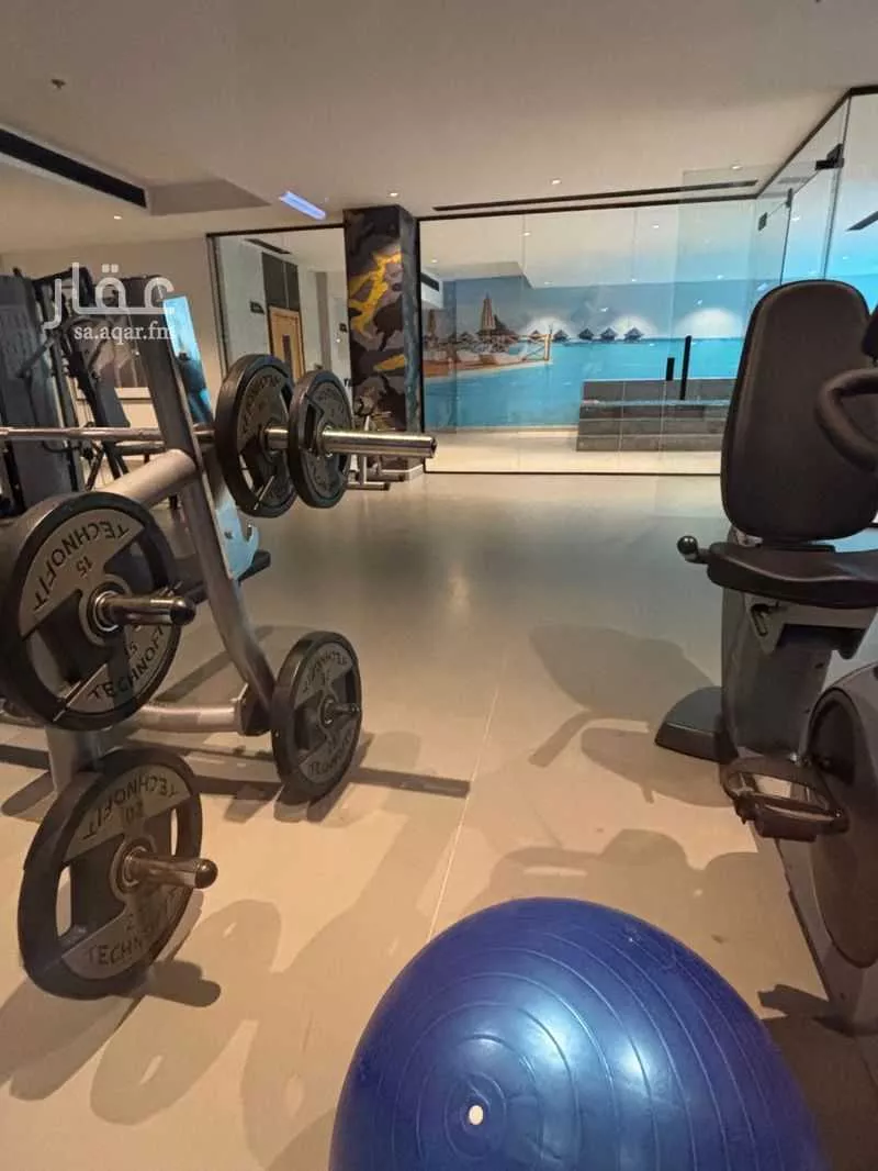 شقة 3 غرف في العارض 13