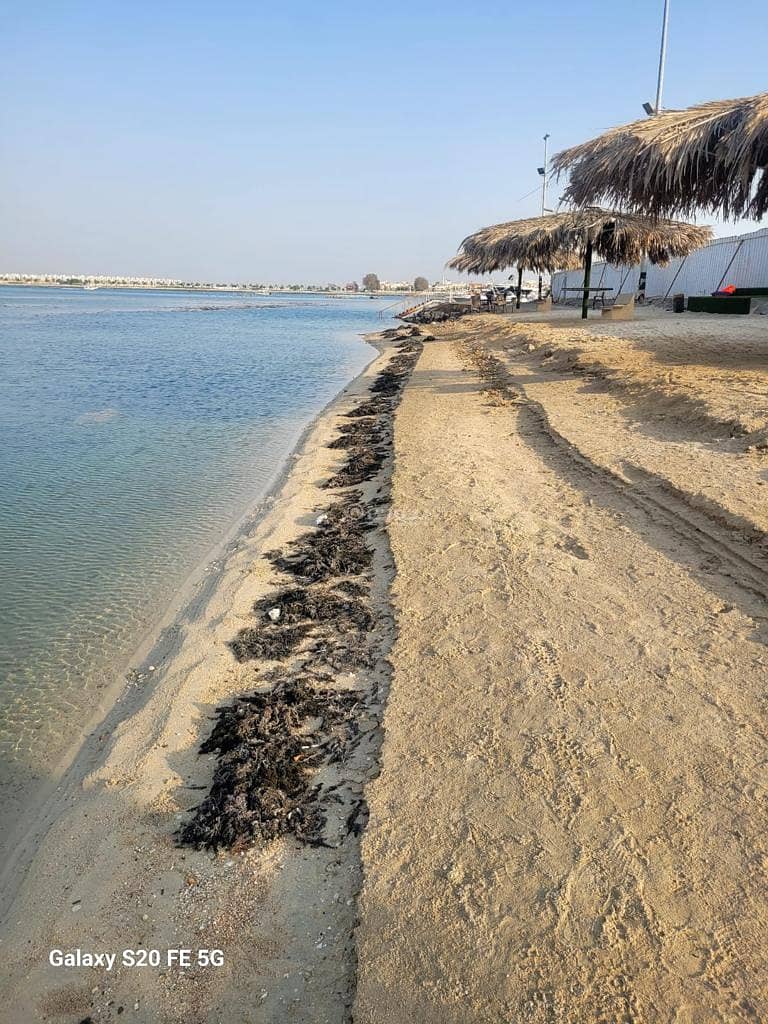2 bedroom apartment in Obhur Al Shamaliyah, Jeddah 4