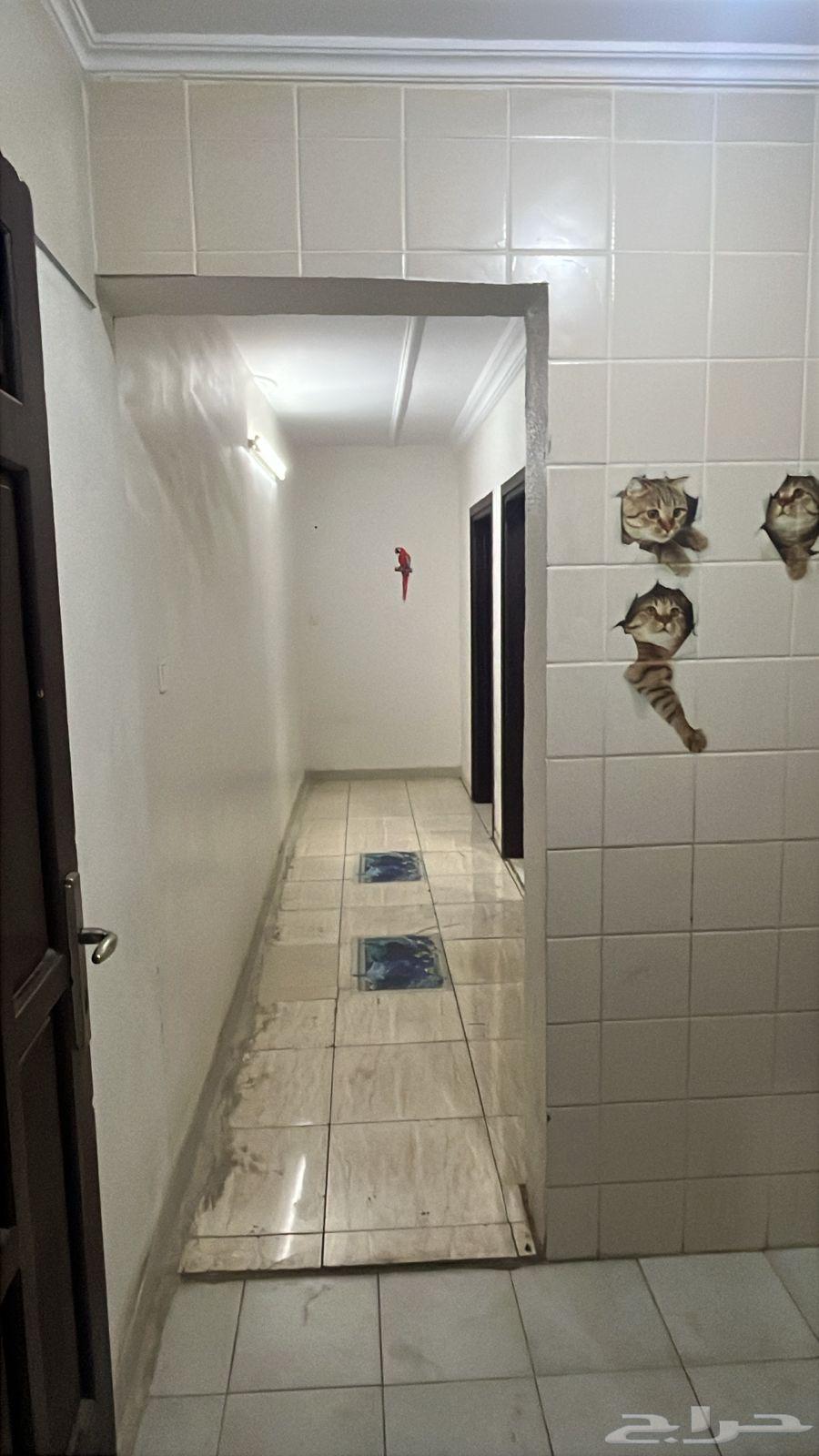 شقة 50 غرف في السامر 8