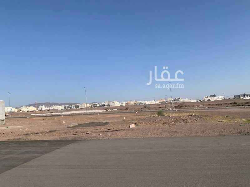 عقار  في ابو كبير، المدينة المنورة 6