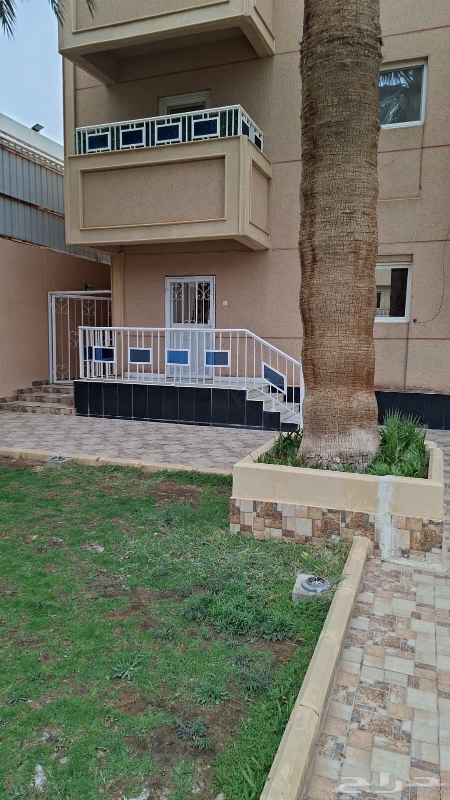 شقة 4 غرف في السليمانية 12