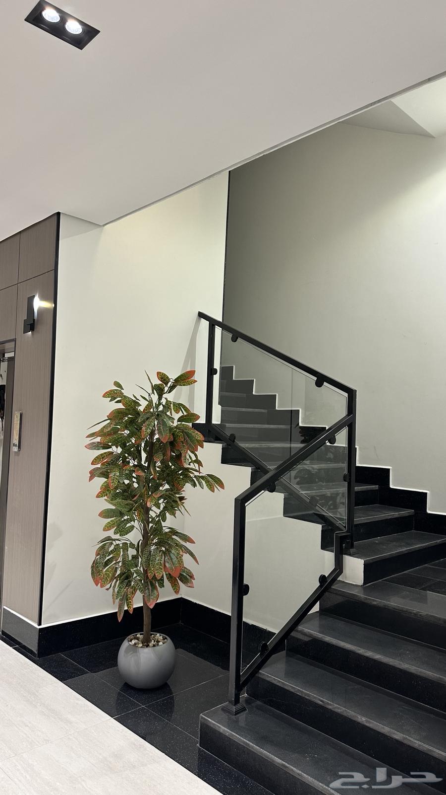 شقة 1 غرف في الخليج 9