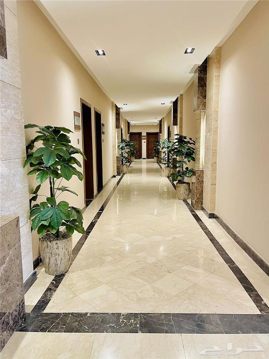 شقة 3 غرف في الملقا 3