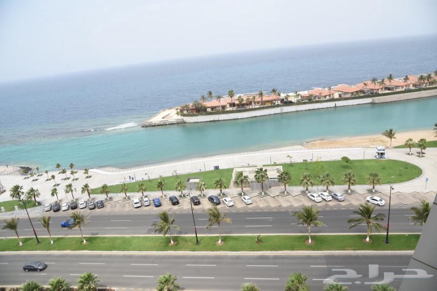 شقة 3 غرف في الشاطئ 4