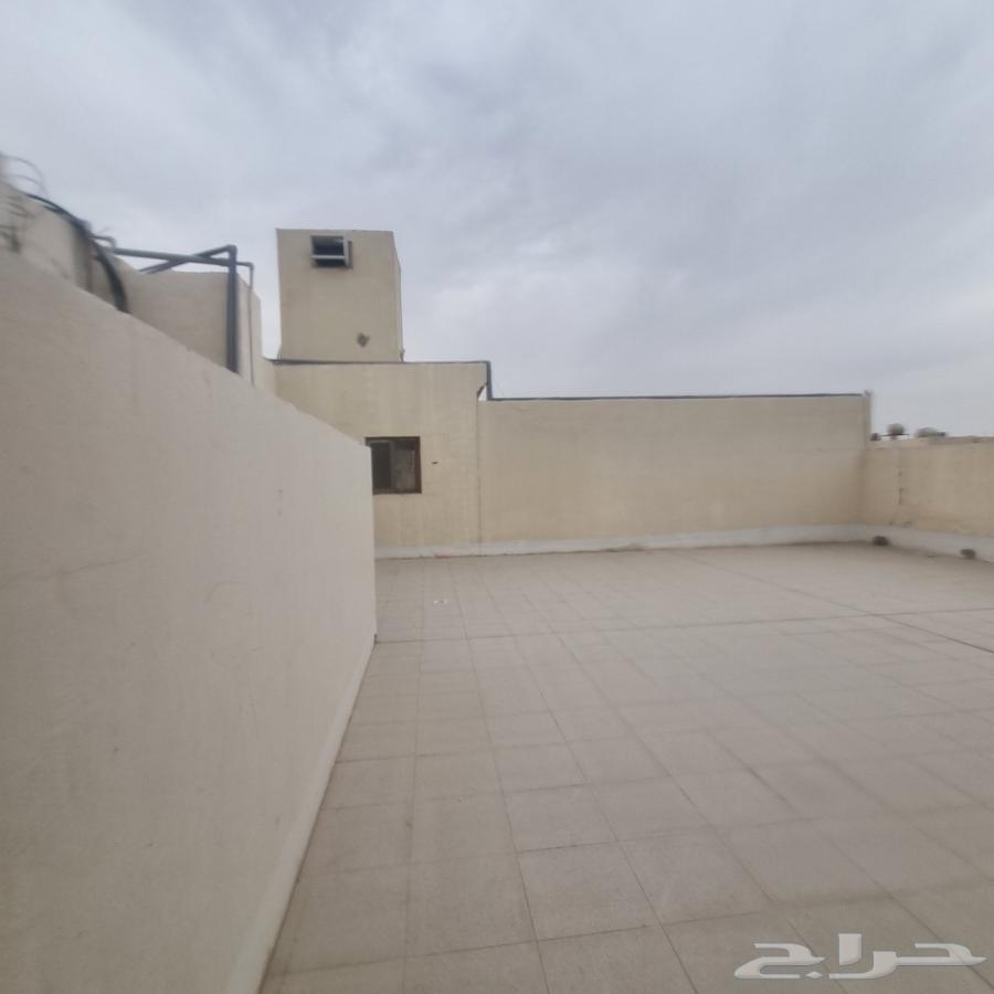 شقة 5 غرف في احد 9