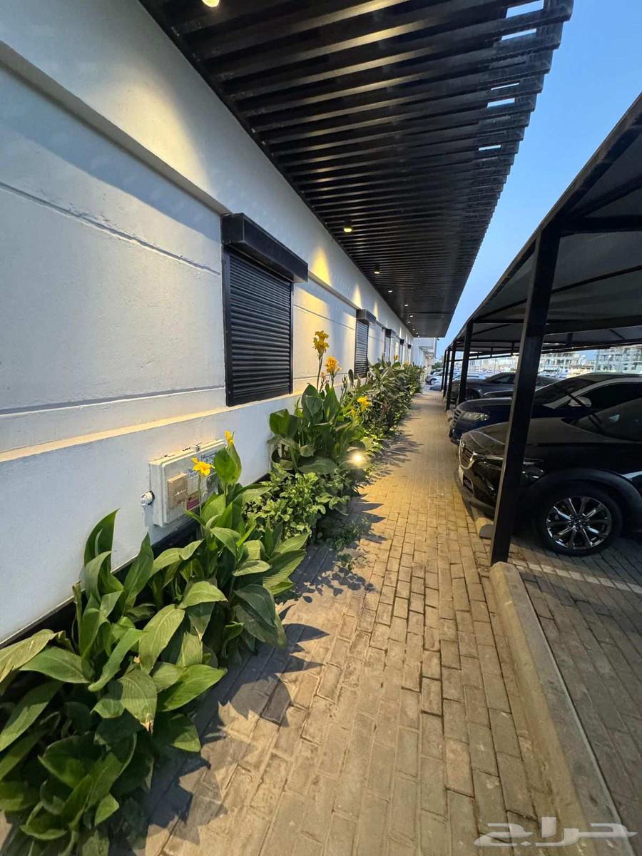 شقة 3 غرف في التعاون 4