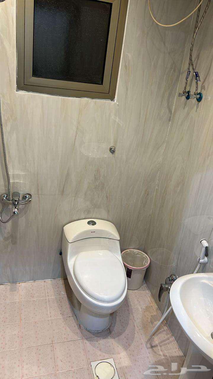 شقة 35 غرف في طيبة 11