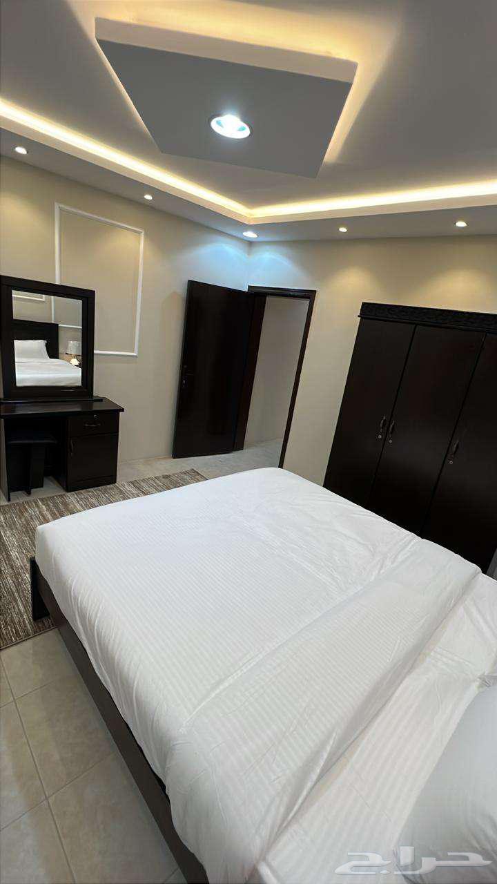 شقة 35 غرف في طيبة 8