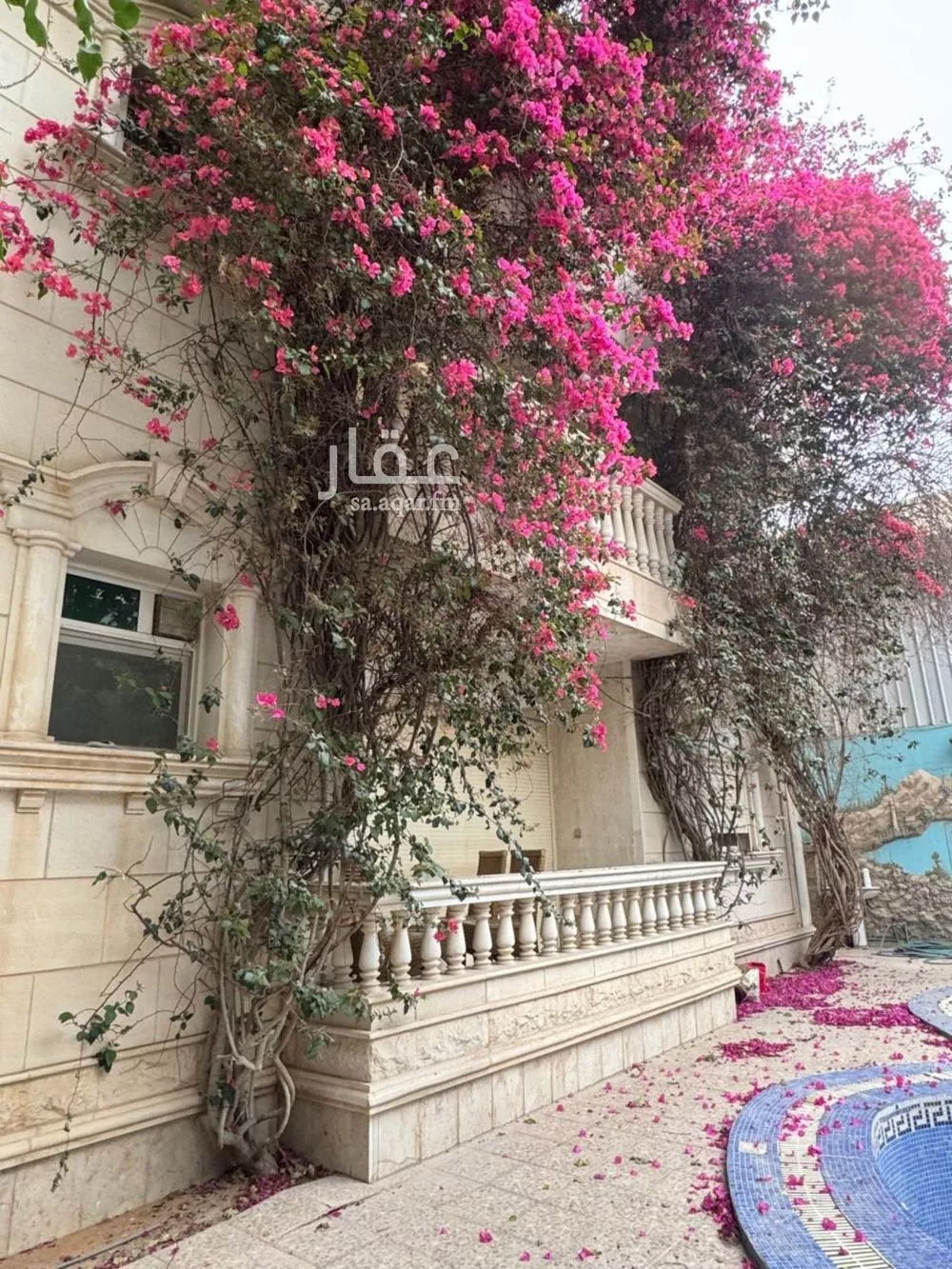 فيلا 8 غرف في الورود 10