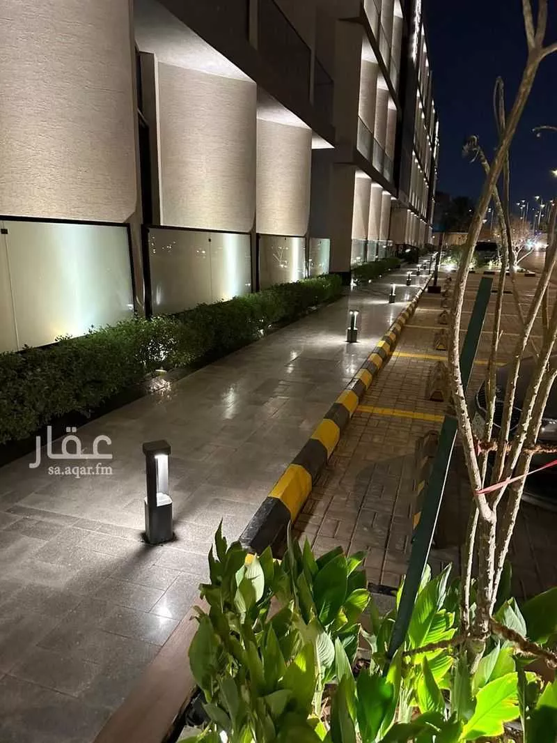 شقة 3 غرف في الحمراء 21