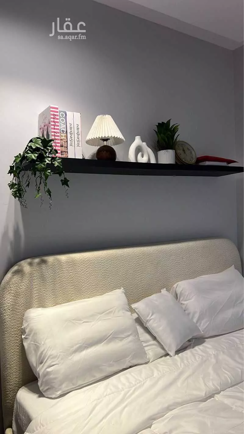 1 bedroom apartment in Al Aqiq 7