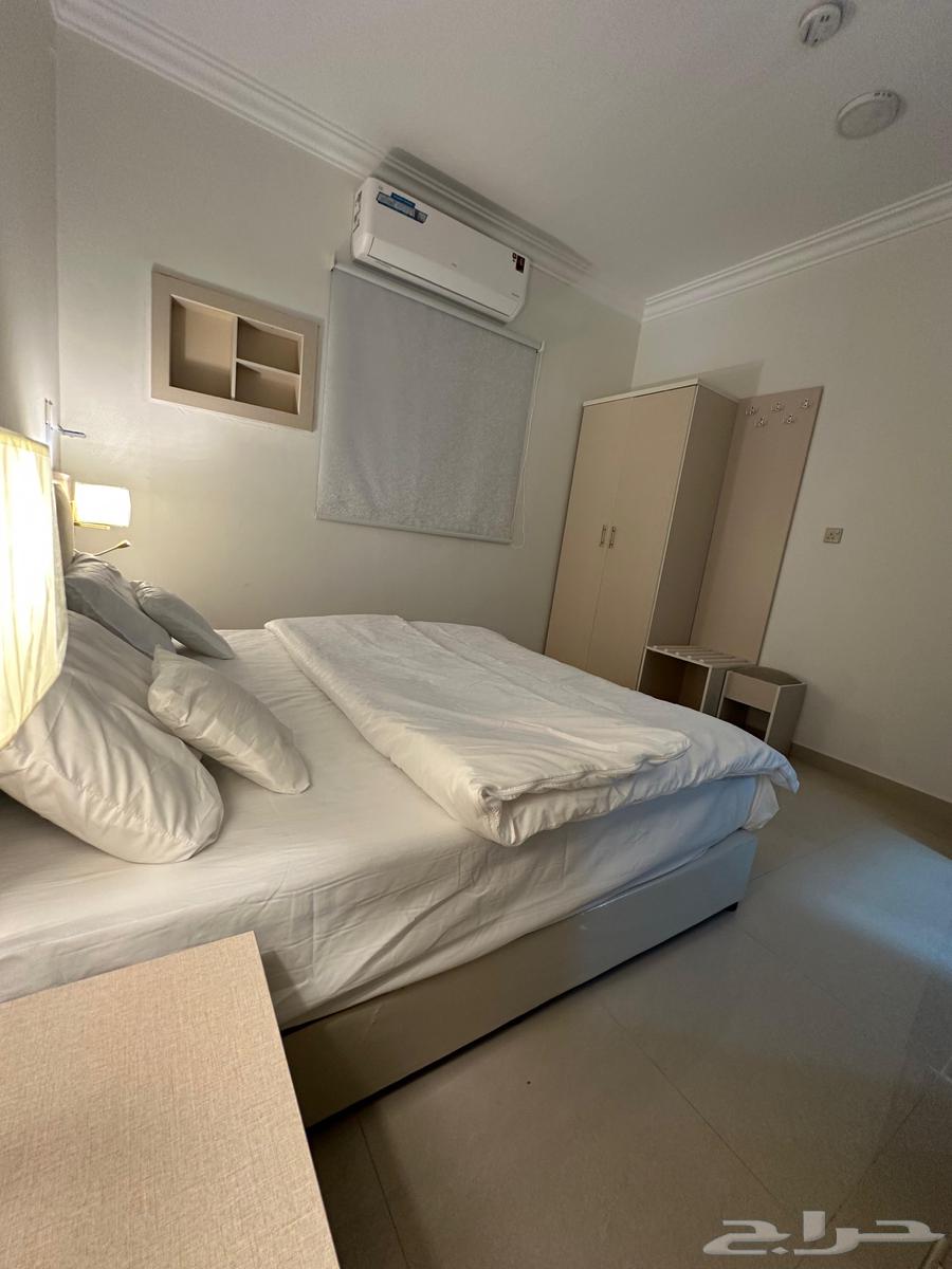 شقة 3 غرف في منيفة 19