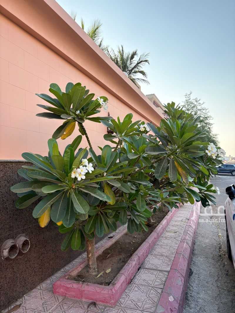 villa in Taibah, Jeddah 7