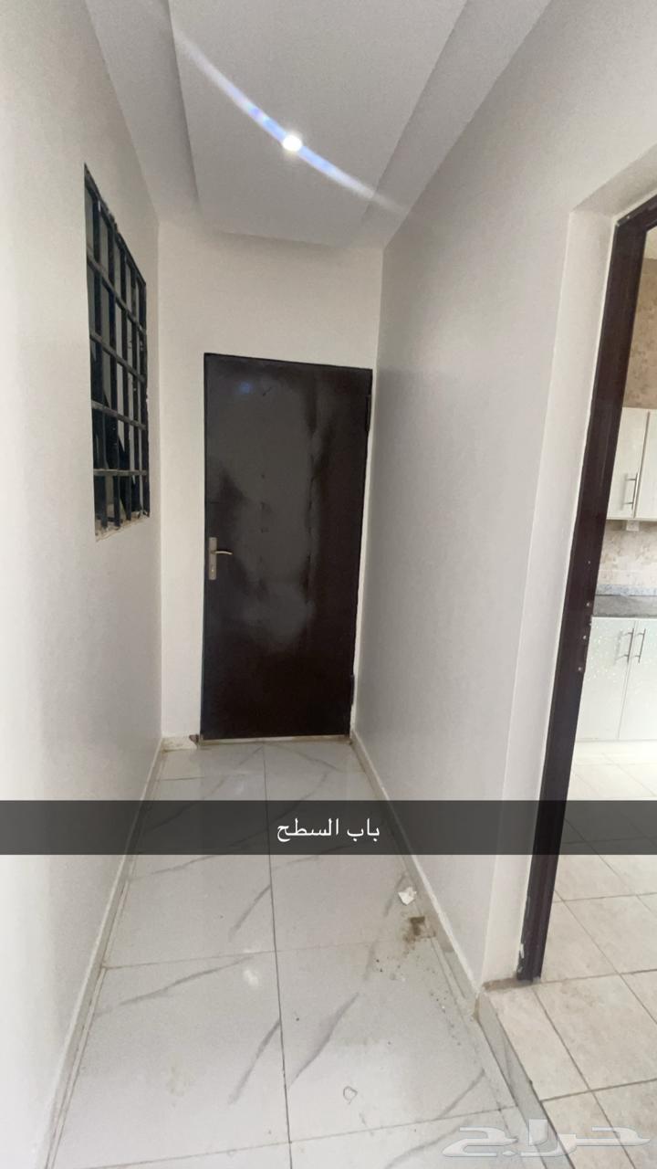 شقة 1 غرف في ظهرة لبن 5