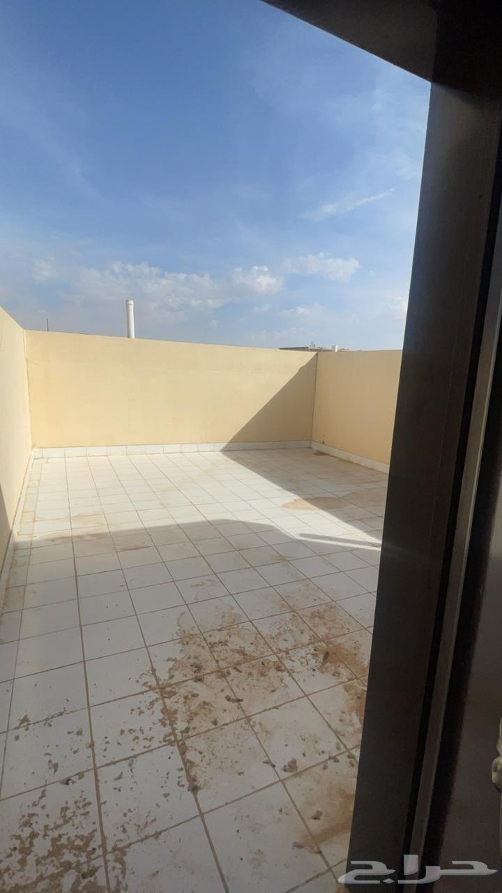 شقة 1 غرف في ظهرة لبن 6