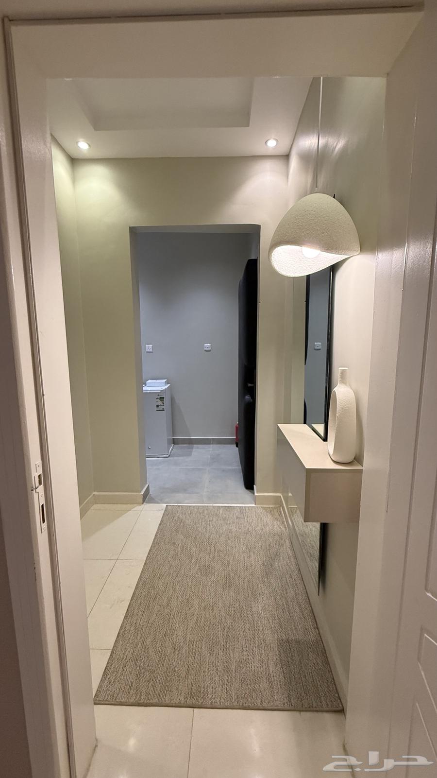 شقة 1 غرف في الملقا 18