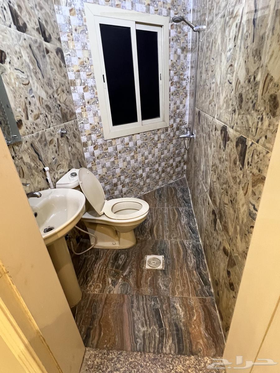 شقة 2 غرف في الصالحية 3