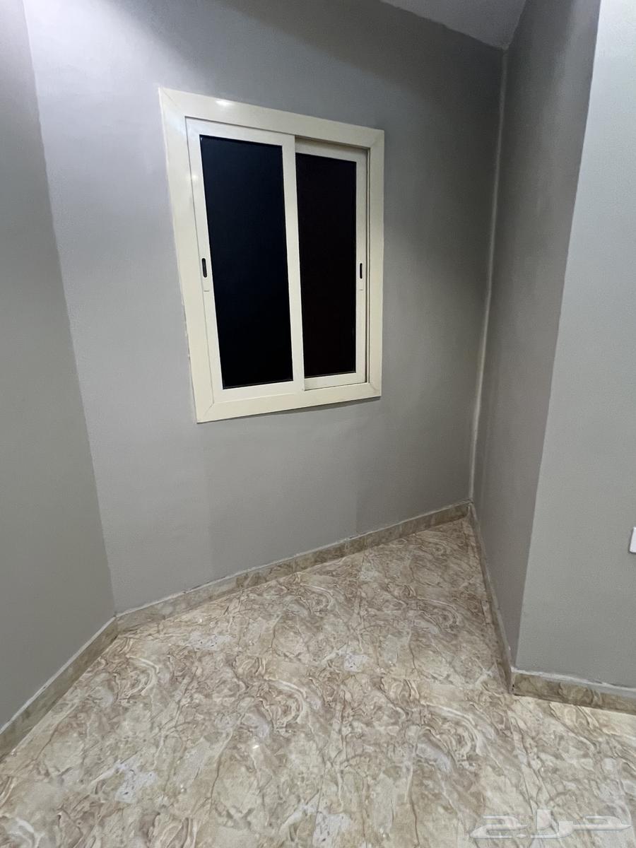 شقة 2 غرف في الصالحية 5