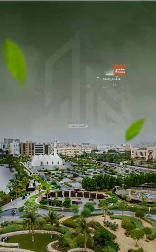 شقة 2 غرف في الشرفية 4