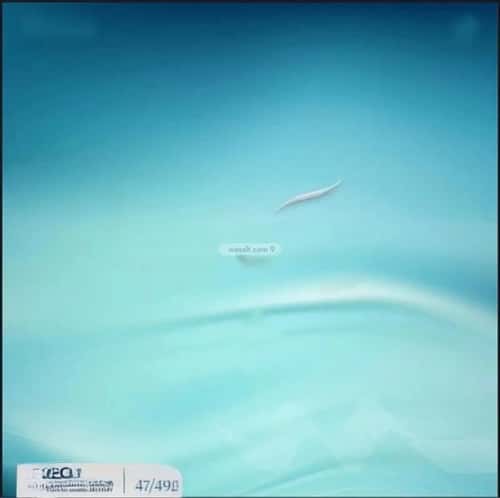 شقة 2 غرف في أبحر الجنوبية 14