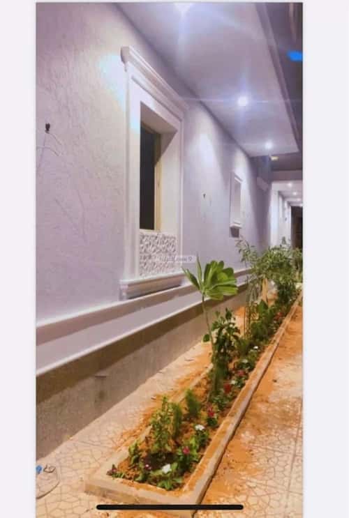 شقة 1 غرف في العقيق 3