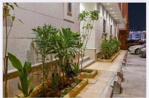 شقة 1 غرف في العقيق 7