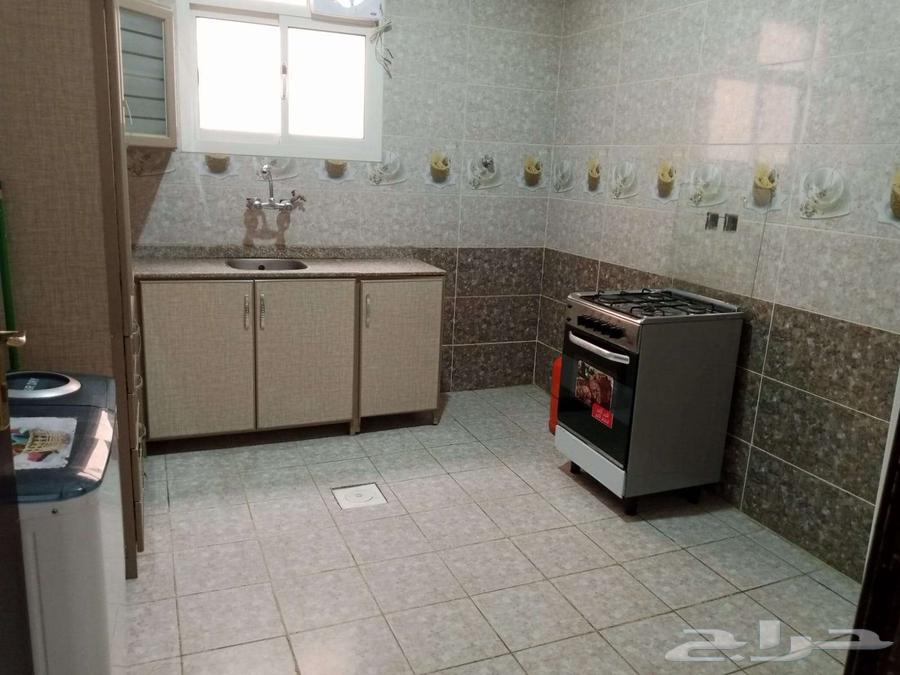 شقة 1 غرف في ظهرة لبن 5