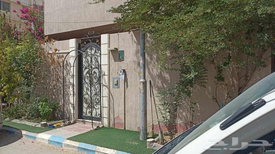 شقة 10 غرف في السليمانية 3