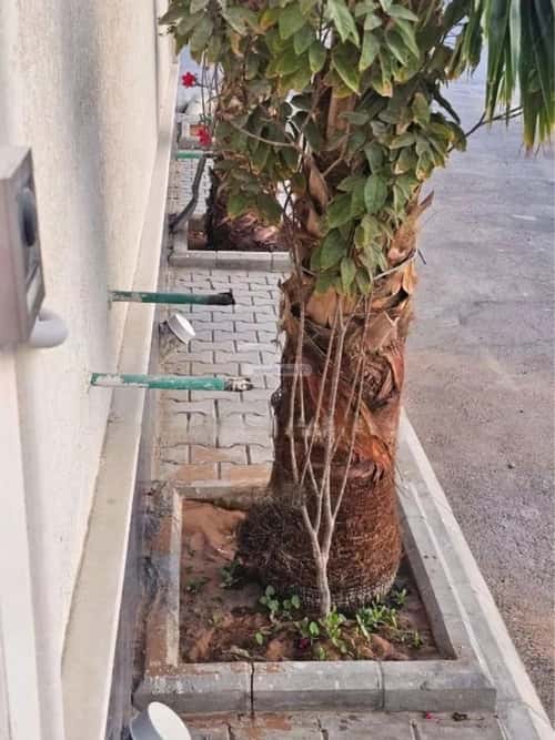 6 bedroom villa in Al Rimal 12