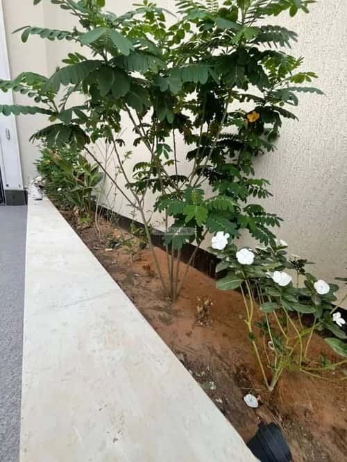 شقة 4 غرف في المهدية 11