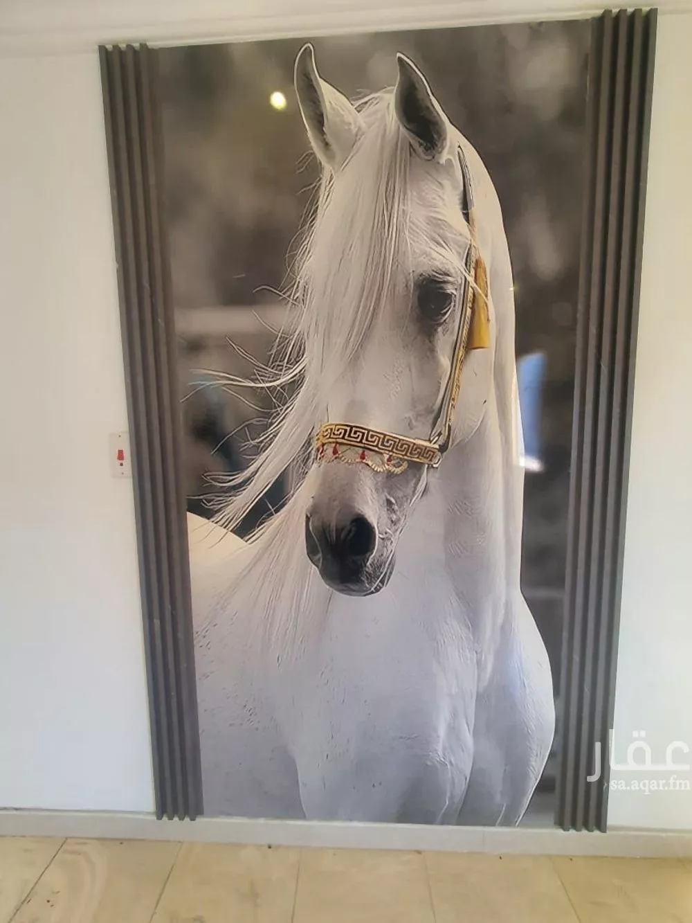 شقة 3 غرف في النور 24