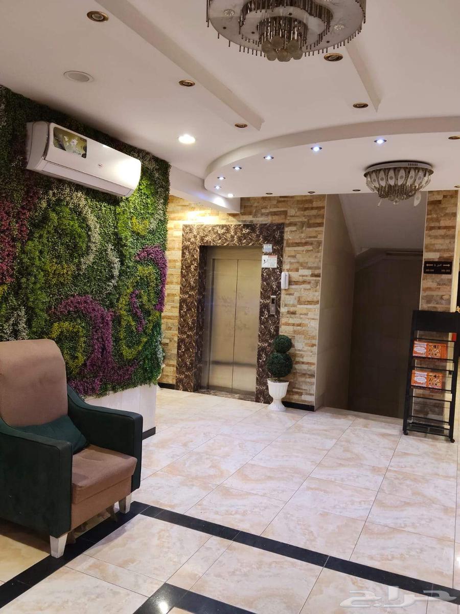 شقة 1 غرف في الجوهرة 17