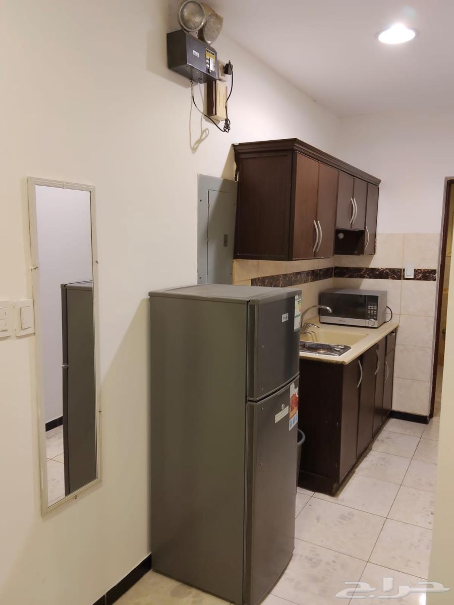 شقة 1 غرف في الجوهرة 19