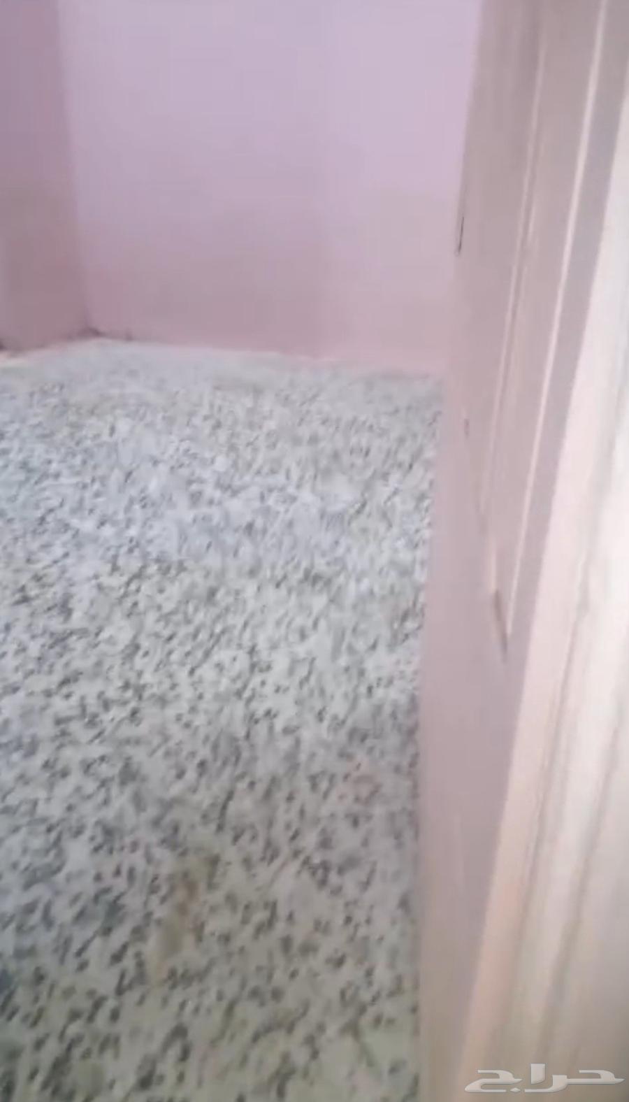 شقة 2 غرف في الدفاع 2