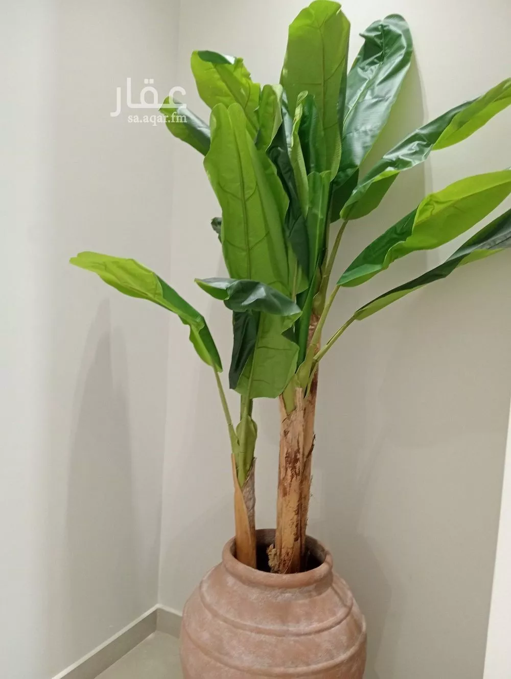 دور 6 غرف في قرطبة 4