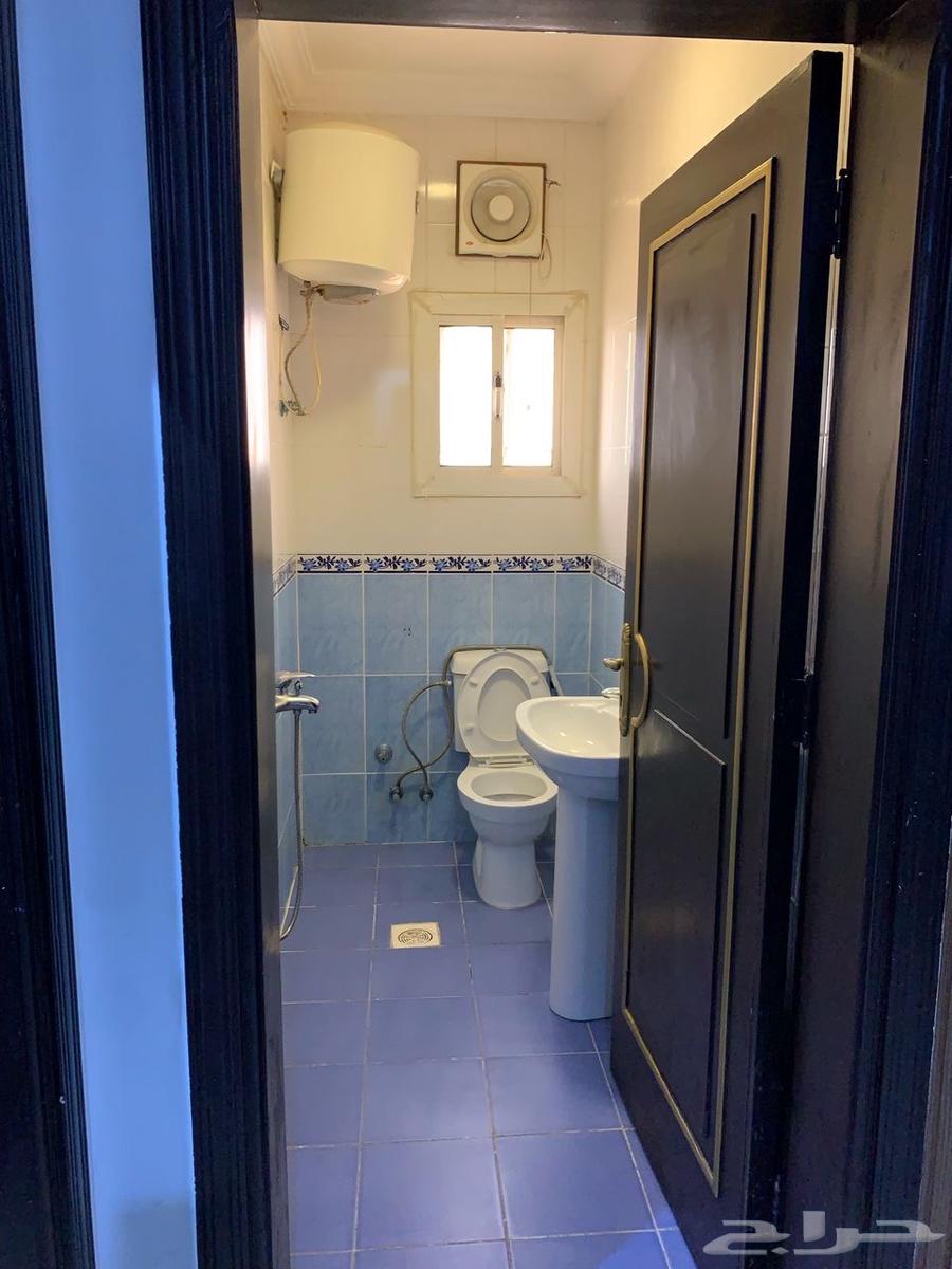 شقة 1 غرف في السلامة 8