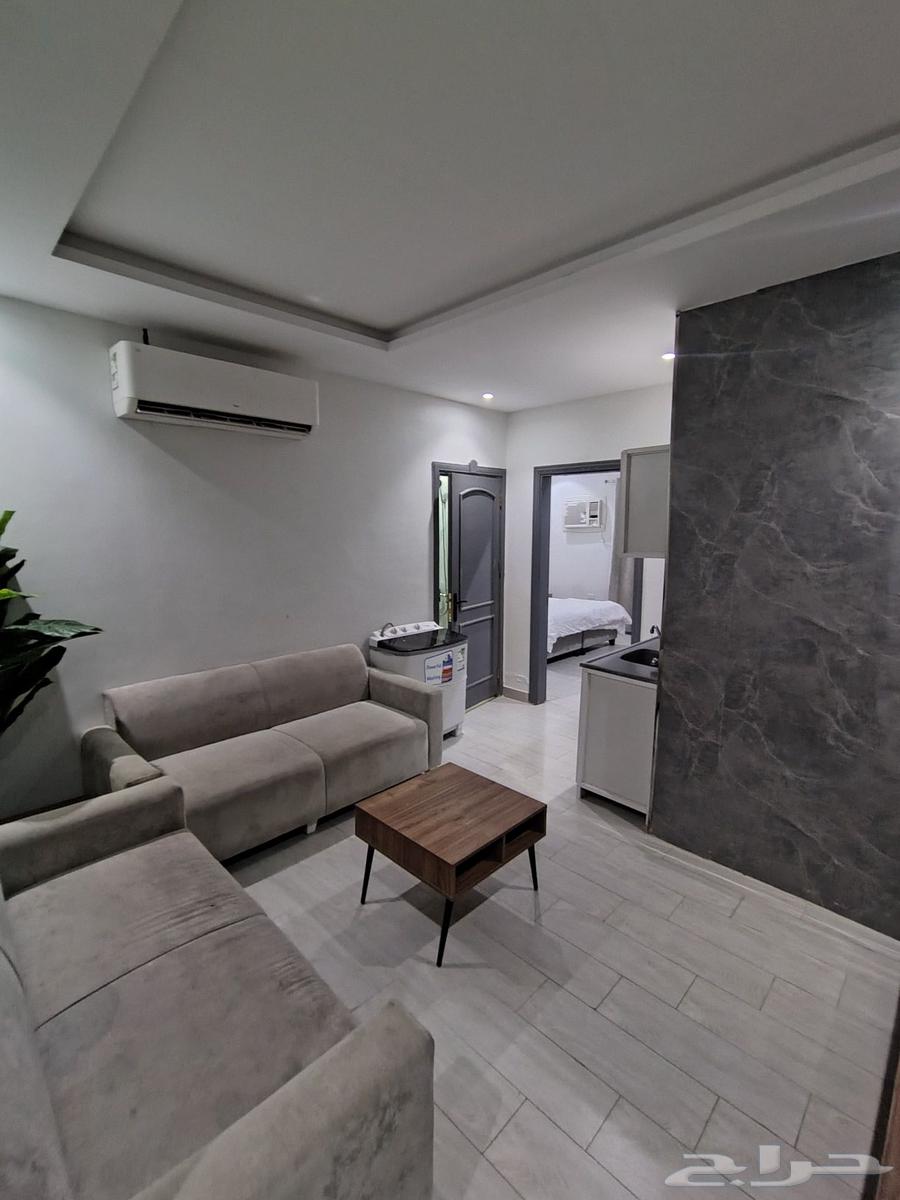 شقة 1 غرف في الروضة 2