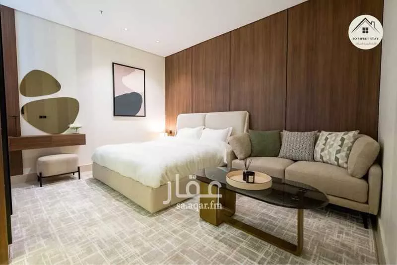 شقة 1 غرف في الربيع 3