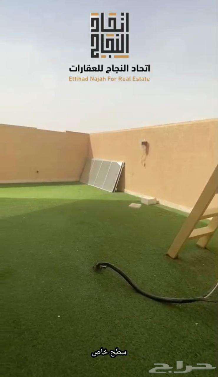 شقة 2 غرف في الربوة 4