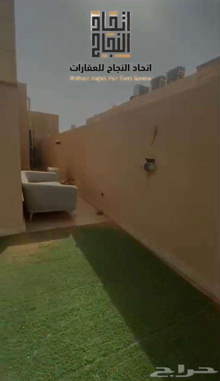 شقة 2 غرف في الربوة 5