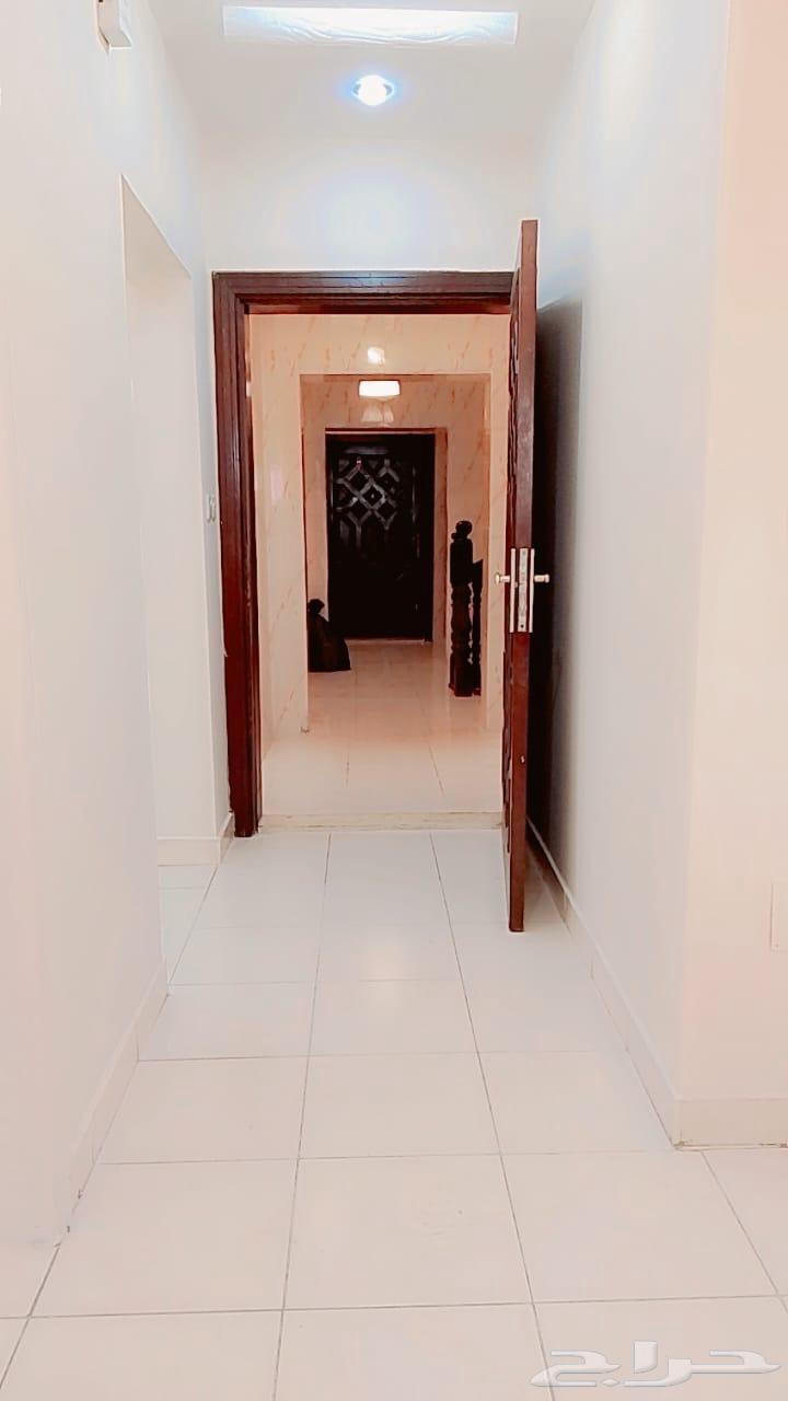 شقة 3 غرف في الربوة 6