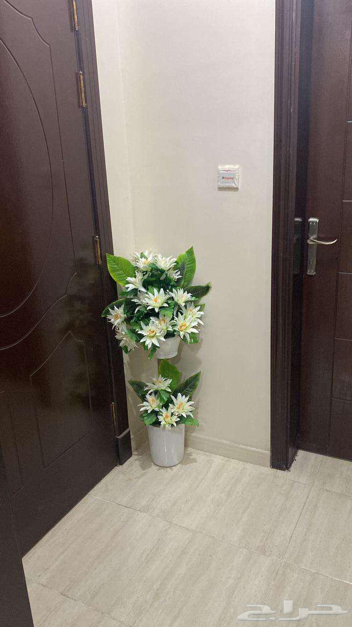 3 bedroom apartment in Ar Rayan 14