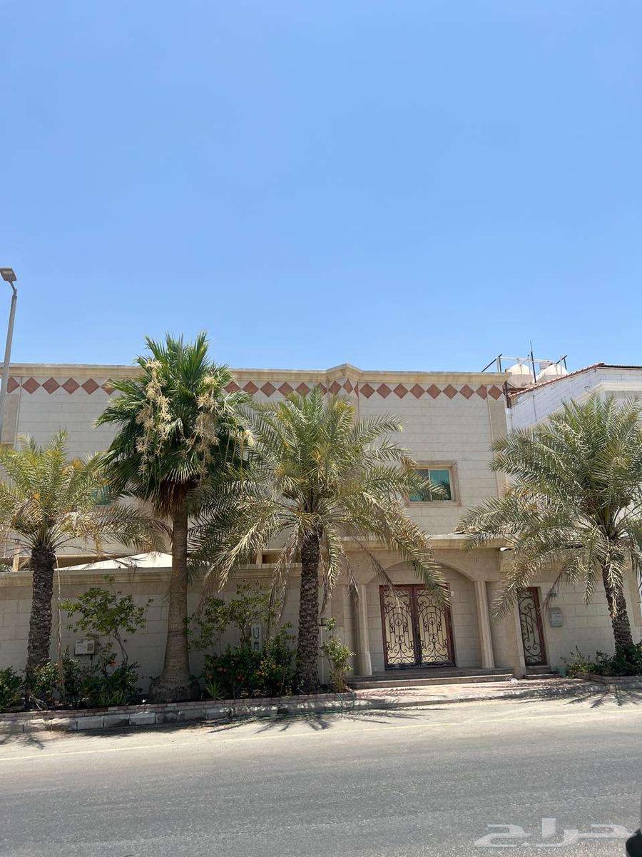 فيلا 9 غرف في الجامعة 9