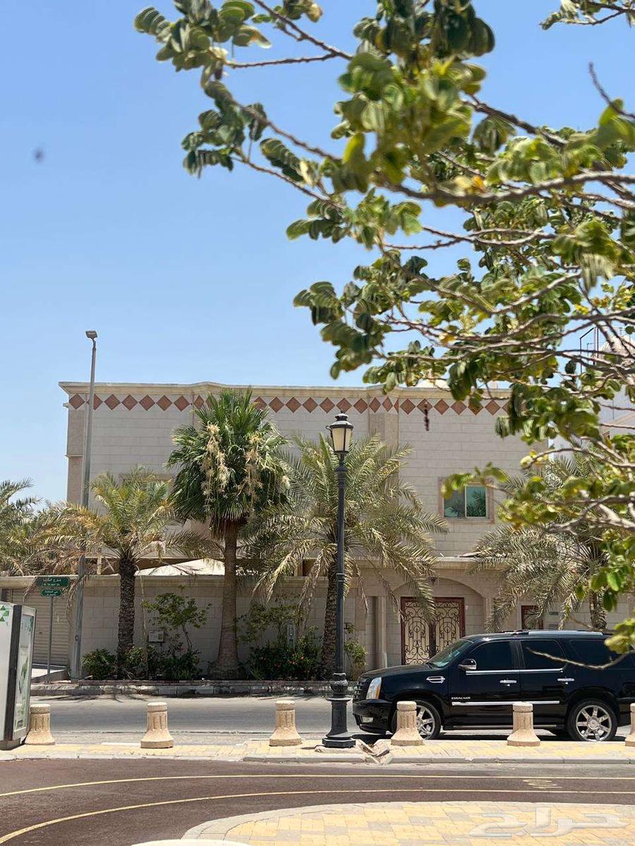 فيلا 9 غرف في الجامعة 10