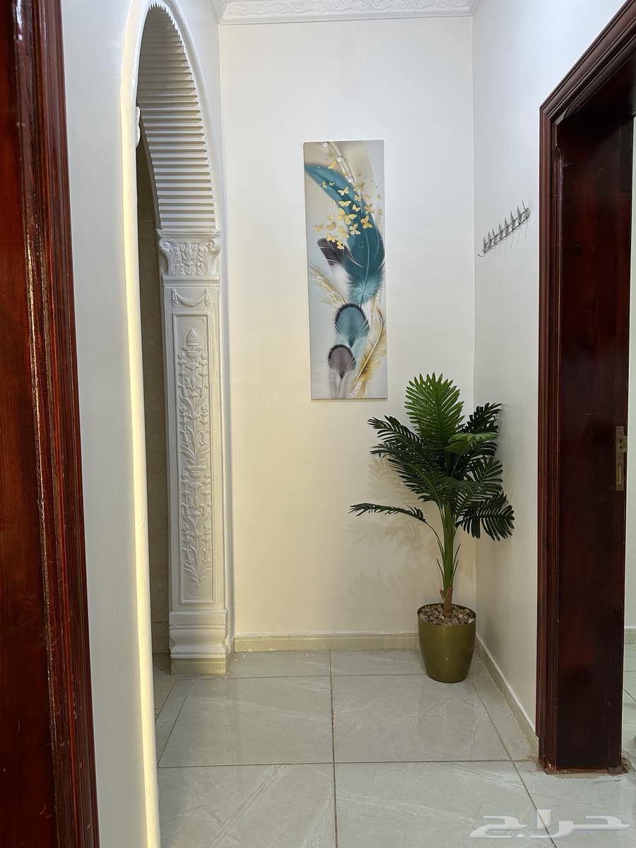 شقة 3 غرف في الدفاع 10