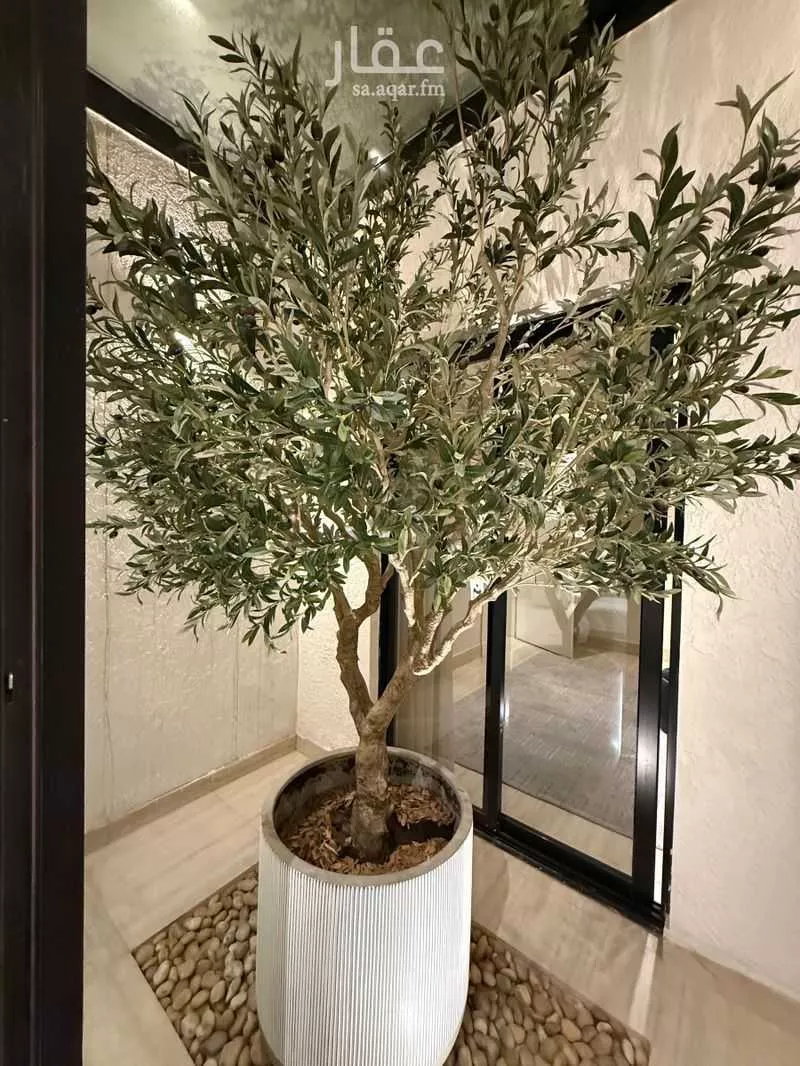 دور 2 غرف في النخيل 22