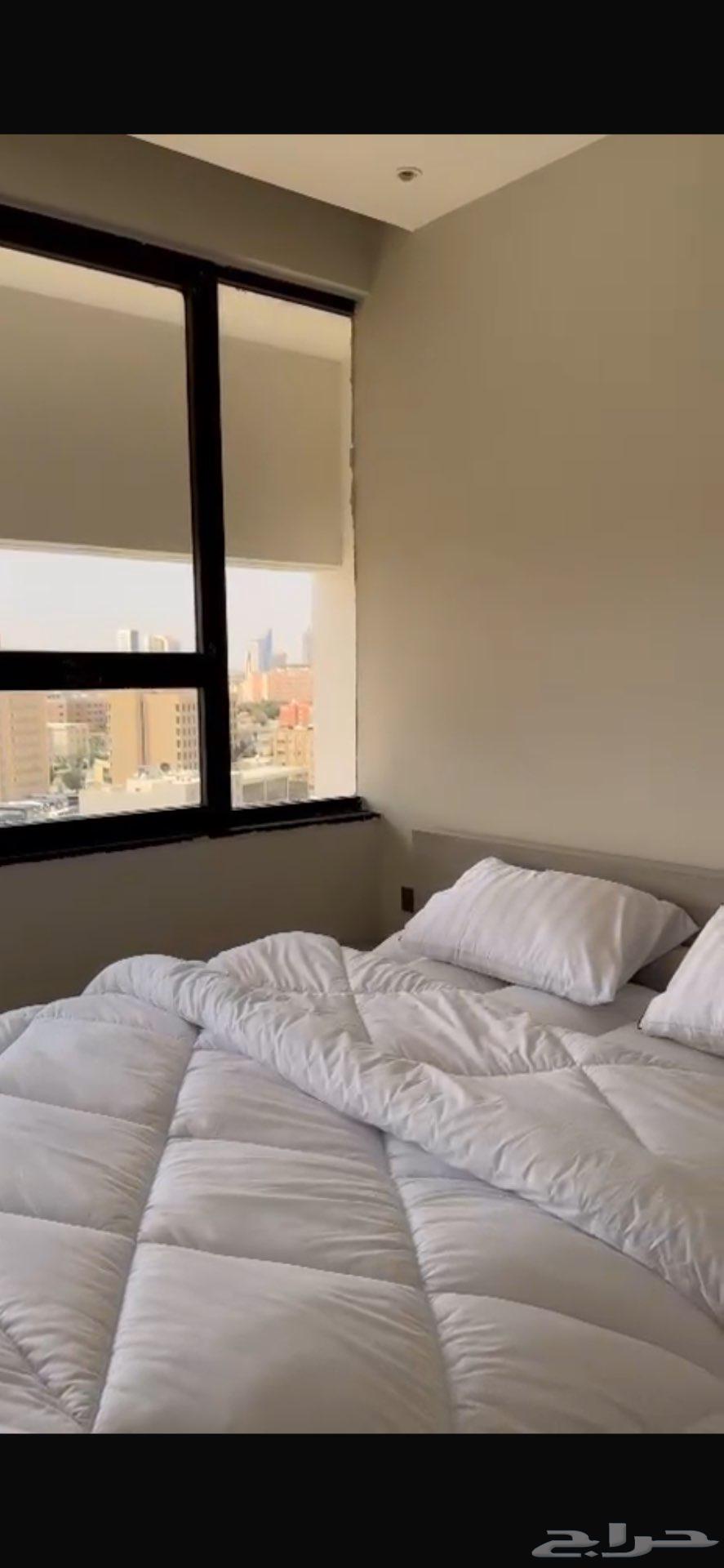 شقة 1 غرف في المربع 10